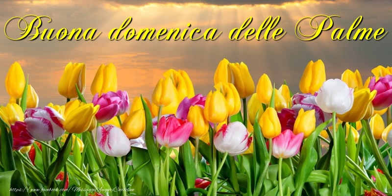 Buona domenica delle Palme