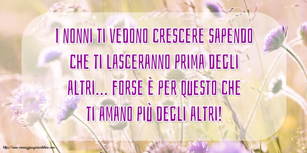 Famiglia I nonni ti vedono crescere