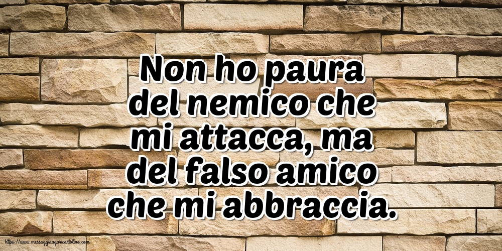 Non ho paura del nemico che mi attacca
