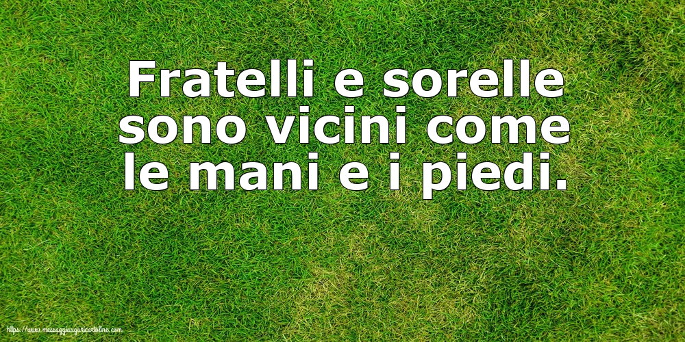 Famiglia Fratelli e sorelle sono vicini come le mani e i piedi.