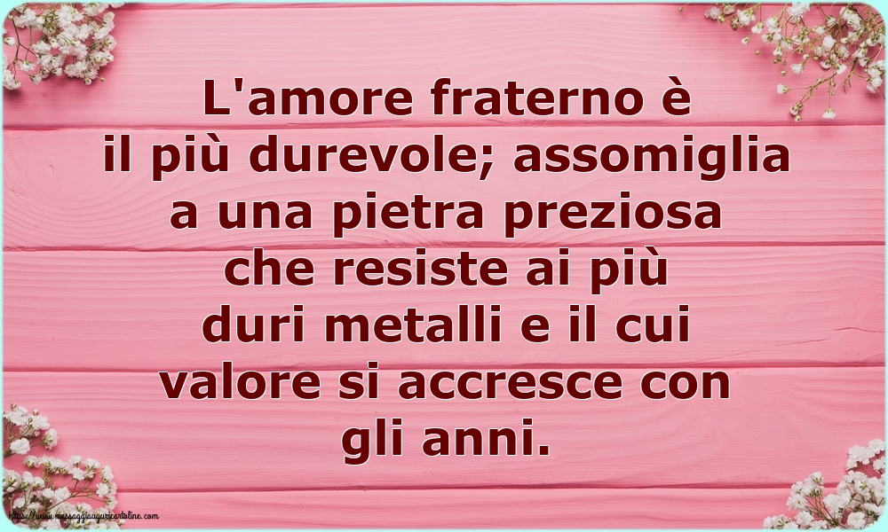 Famiglia L'amore fraterno