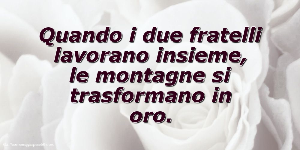 Famiglia Quando i due fratelli lavorano insieme...