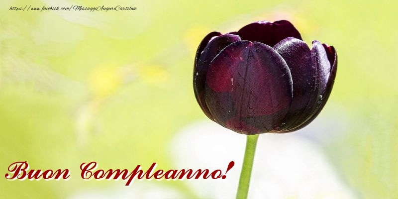 Buon Compleanno!