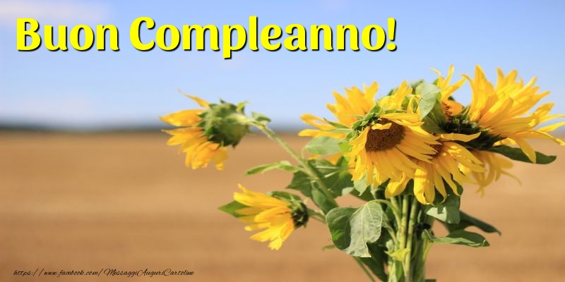 Buon Compleanno!