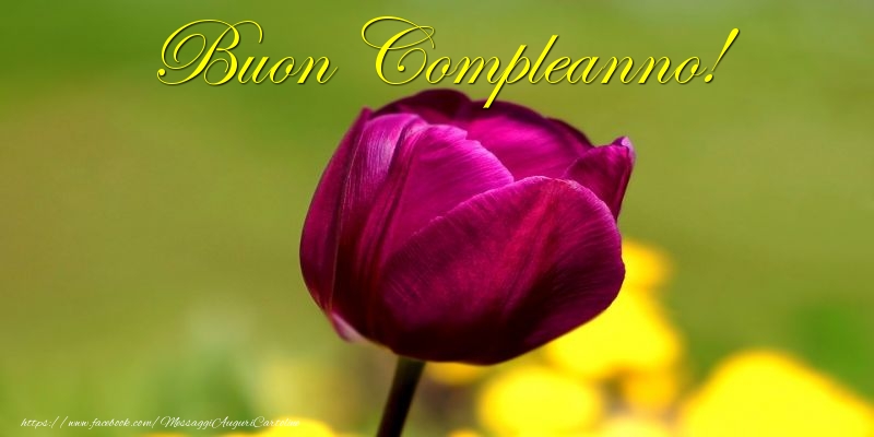 Buon Compleanno!
