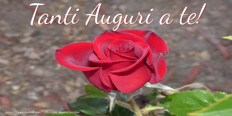 Tanti Auguri a te!