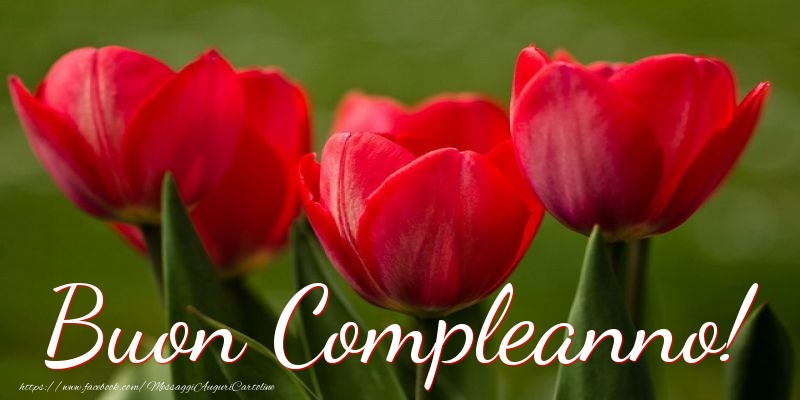 Buon Compleanno!