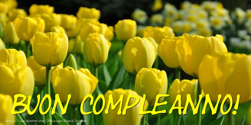 Buon Compleanno!