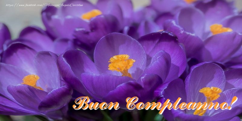 Buon Compleanno!