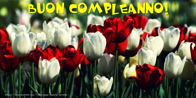 Buon Compleanno!