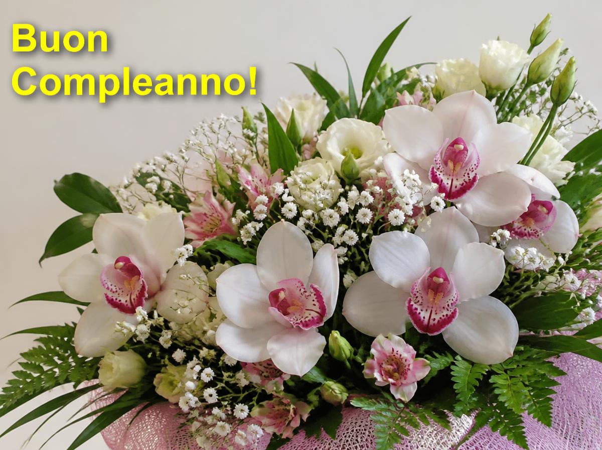 Buon Compleanno!