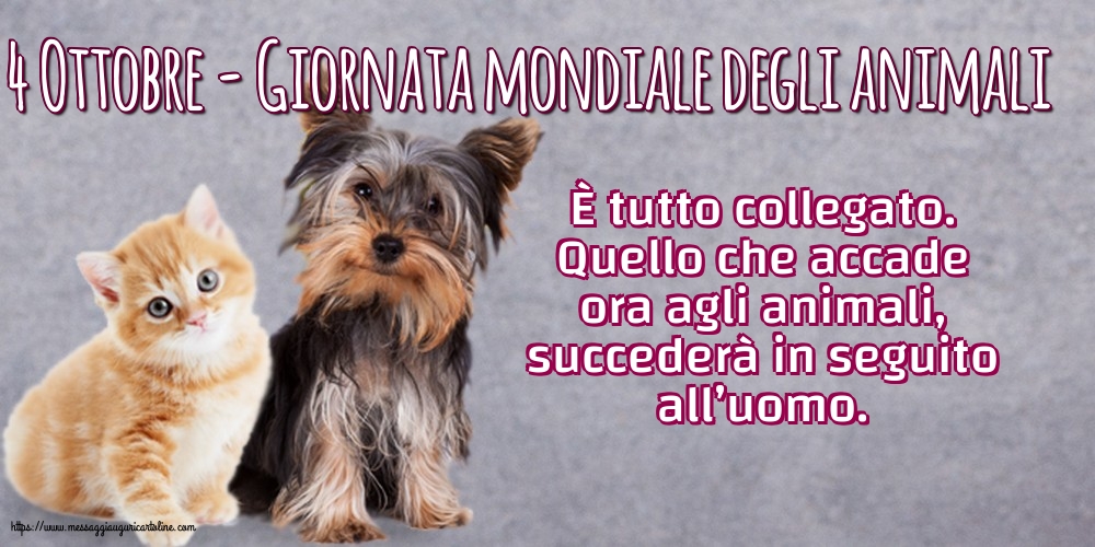 Giornata mondiale degli animali 4 Ottobre - Giornata mondiale degli animali