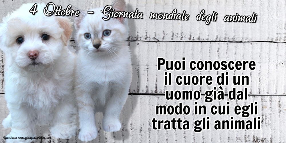 Giornata mondiale degli animali 4 Ottobre - Giornata mondiale degli animali