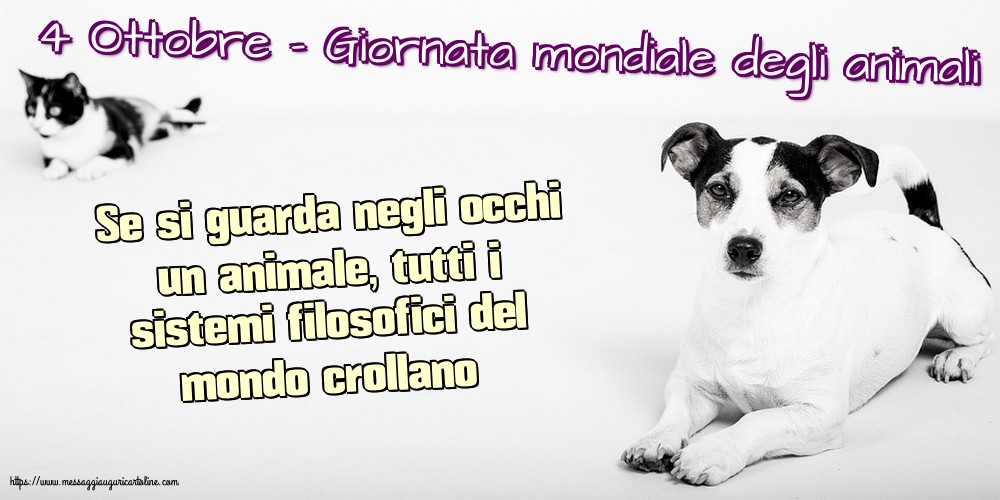 Giornata mondiale degli animali 4 Ottobre - Giornata mondiale degli animali