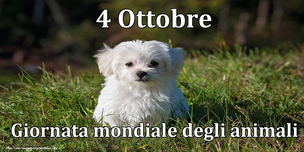 4 Ottobre Giornata mondiale degli animali