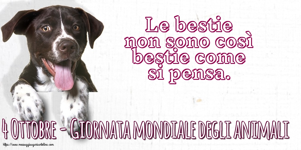 Giornata mondiale degli animali 4 Ottobre - Giornata mondiale degli animali