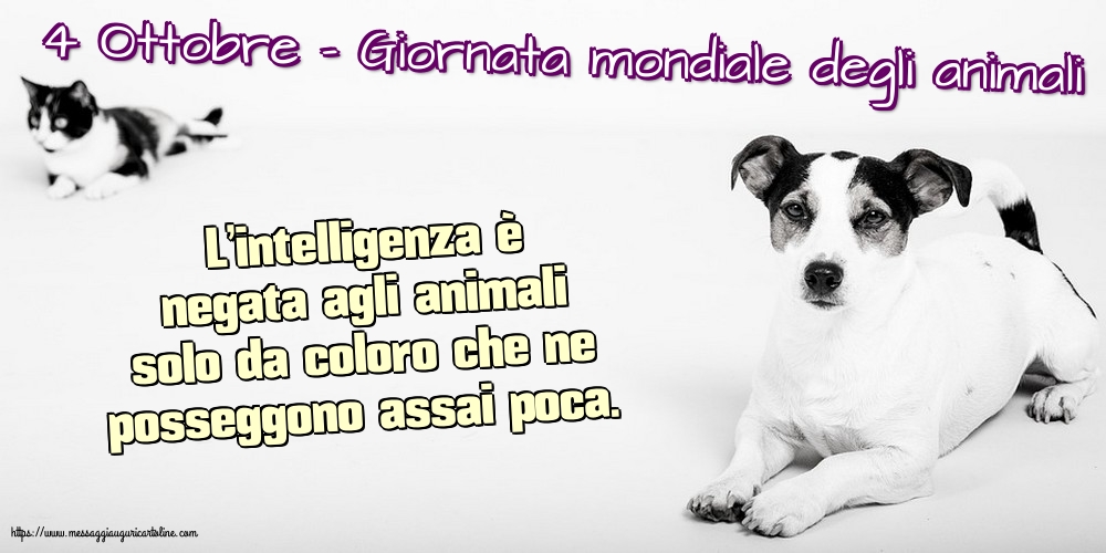 Giornata mondiale degli animali 4 Ottobre - Giornata mondiale degli animali