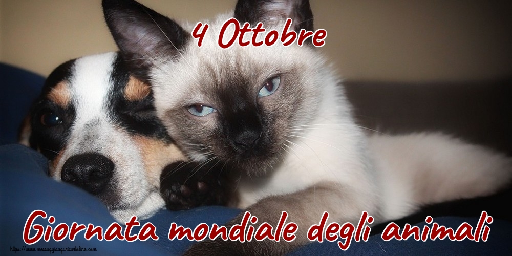 4 Ottobre Giornata mondiale degli animali
