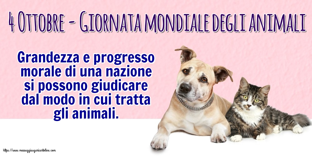 Giornata mondiale degli animali 4 Ottobre - Giornata mondiale degli animali