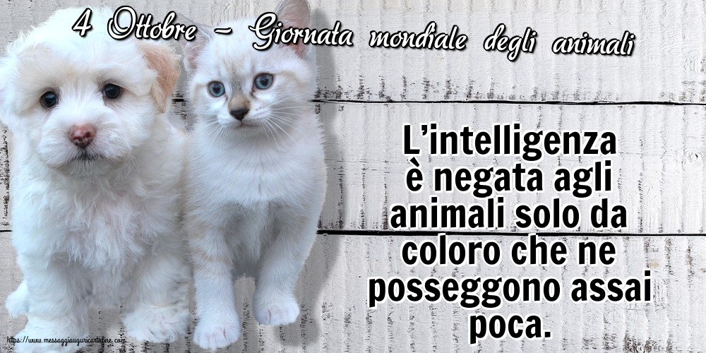 4 Ottobre - Giornata mondiale degli animali