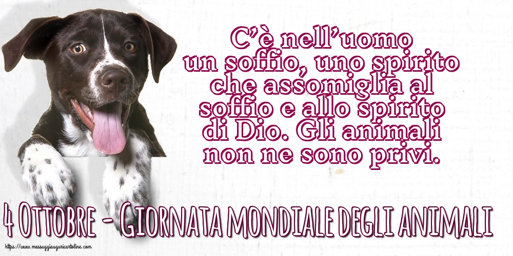 4 Ottobre - Giornata mondiale degli animali