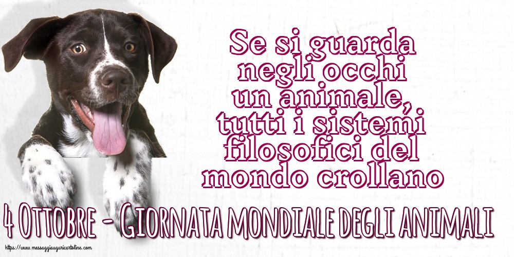 4 Ottobre - Giornata mondiale degli animali
