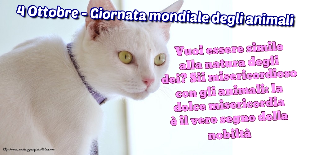 4 Ottobre - Giornata mondiale degli animali