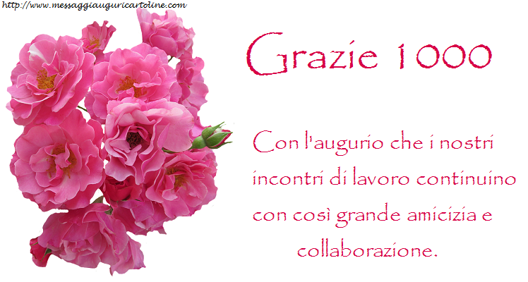 grazie 1000