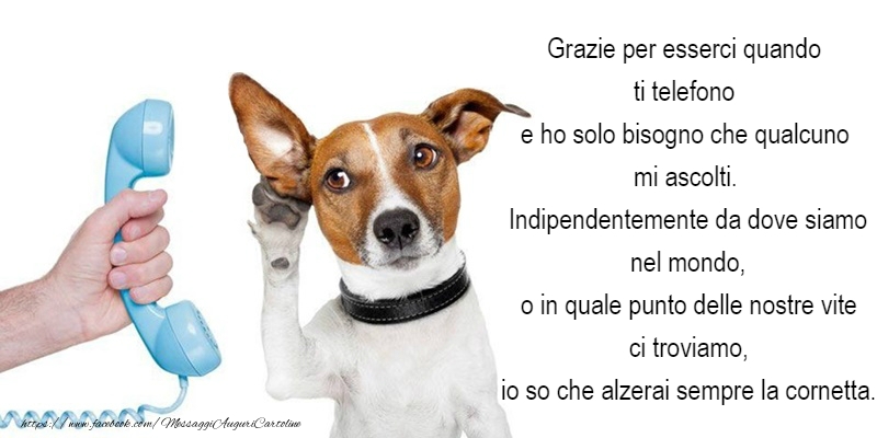 Grazie!