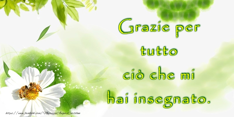 Grazie!