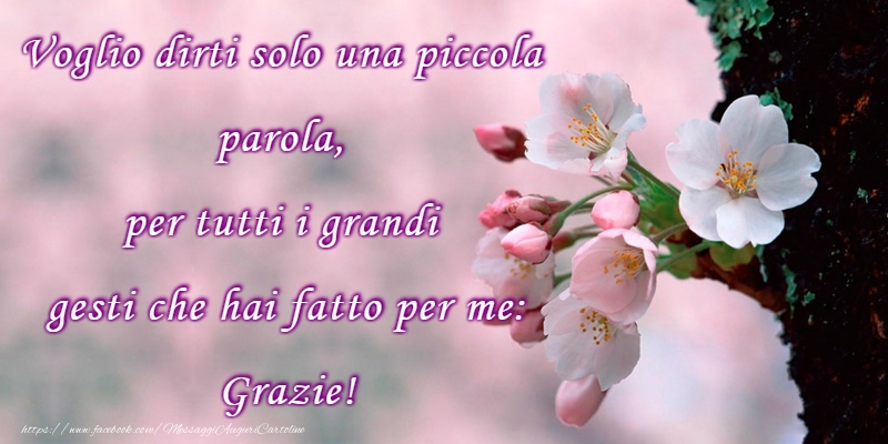 Grazie!