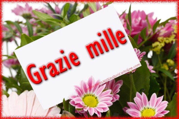 Grazie mille