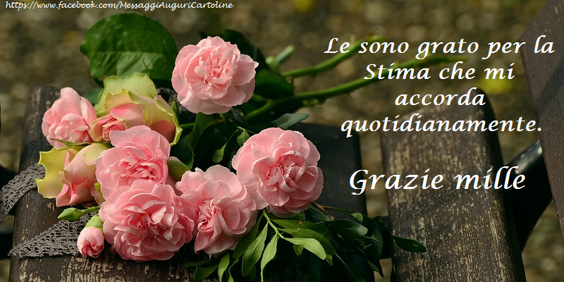 Le sono grato per la Stima che mi accorda quotidianamente.