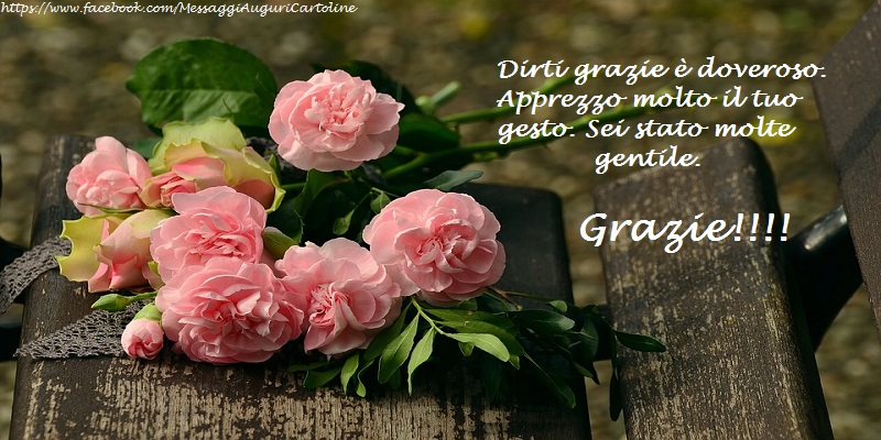 Dirti grazie è doveroso. Apprezzo molto il tuo gesto. Sei stato molte gentile.