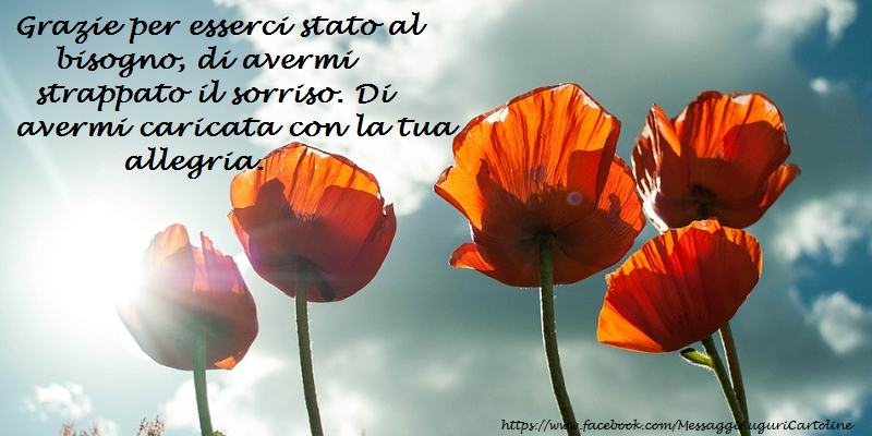 Grazie per esserci stato al bisogno, di avermi strappato il sorriso. Di avermi caricata con la tua allegria.