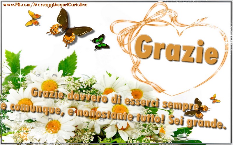 Grazie davvero di esserci sempre e comunque, e nonostante tutto! Sei grande.