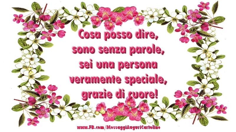 Cosa posso dire,  sono senza parole,  sei una persona  veramente speciale,  grazie di cuore!