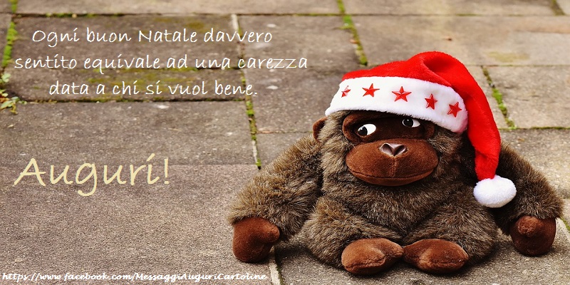 Ogni buon Natale davvero sentito equivale ad una carezza data a chi si vuol bene. Auguri!
