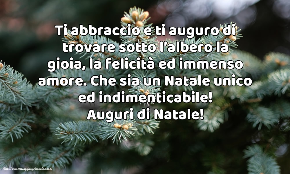 Auguri di Natale!