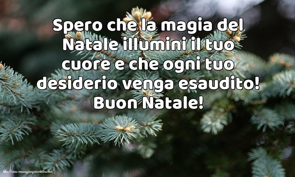 Buon Natale!
