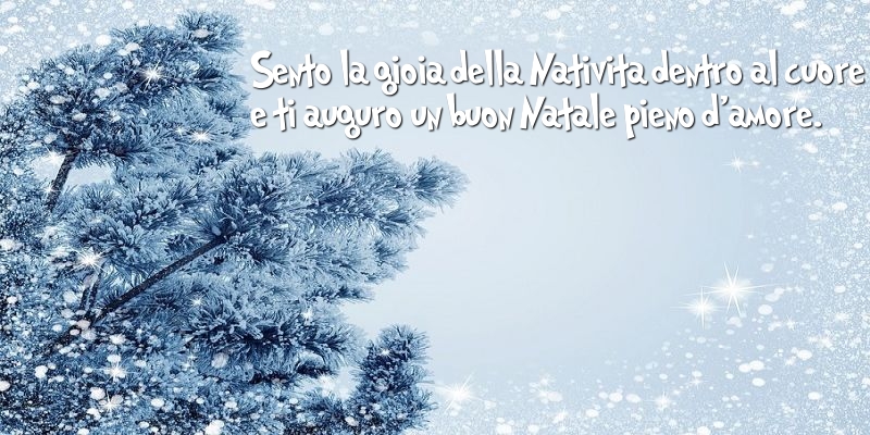 Sento la gioia della Natività dentro al cuore, e ti auguro un buon Natale pieno d'amore.
