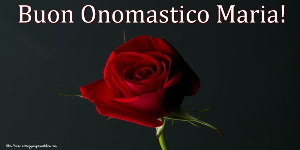 Buon Onomastico Maria!