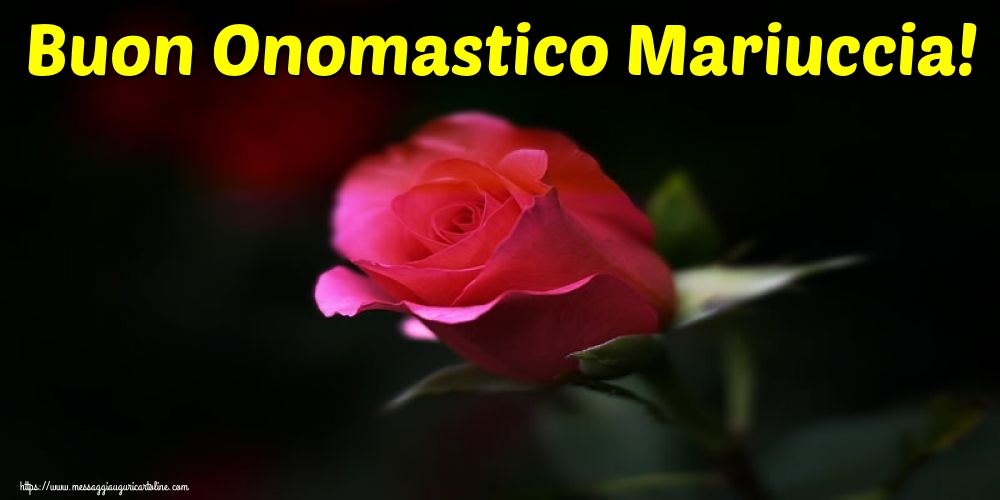 Buon Onomastico Mariuccia!