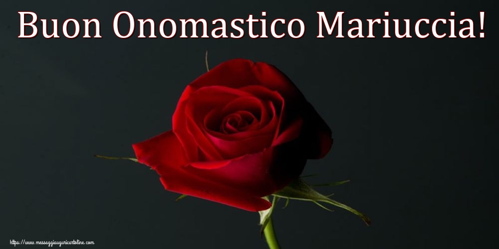 Buon Onomastico Mariuccia!