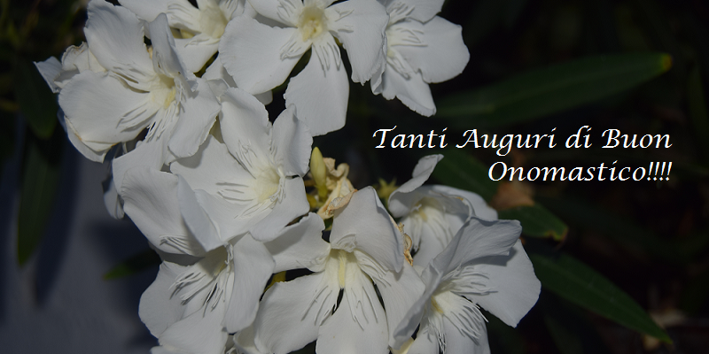 Onomastico Tanti auguri din buon onomastico
