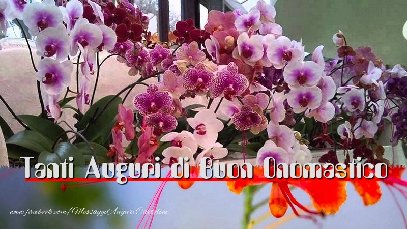 Onomastico Tanti Auguri di Buon Onomastico