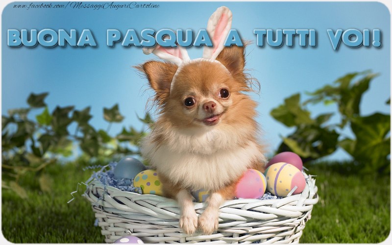 Buona Pasqua