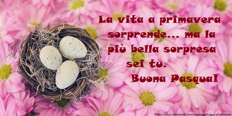 La vita a primavera sorprende... ma la più bella sorpresa sei tu. Buona Pasqua!