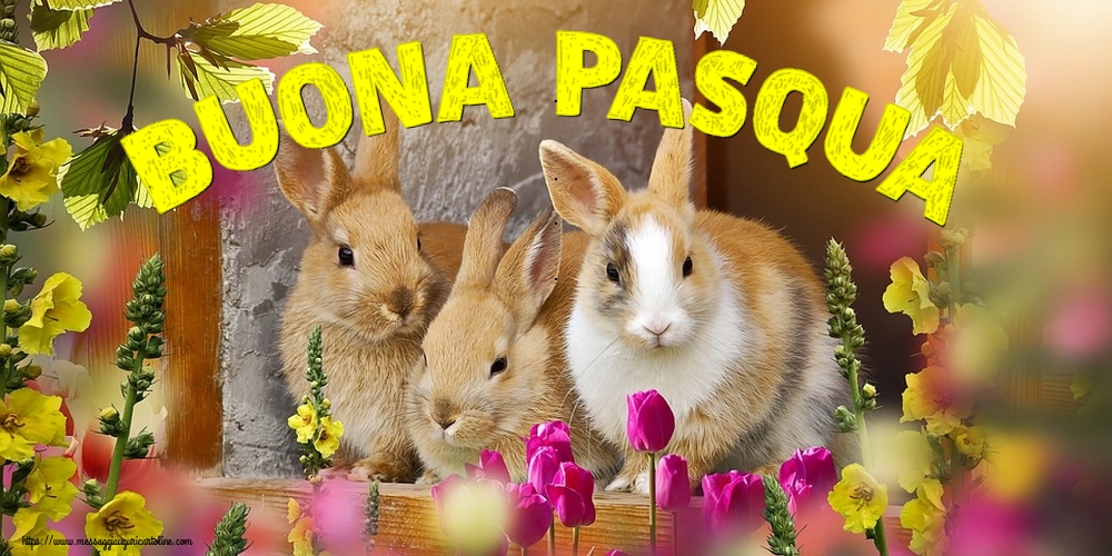 Buona Pasqua