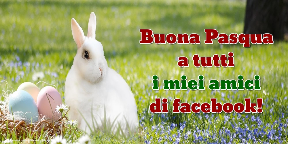 Buona Pasqua a tutti i miei amici di facebook!